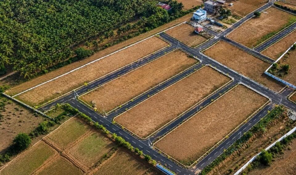 agriculture-land New Project in Rasakkapalayam, Pollachi - Senthur Mayflower 