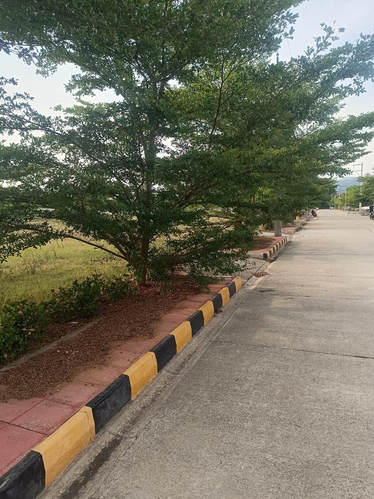 agriculture-land New Project in Srikalahasti, Tirupati - Dollars Colony 19