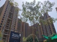Vishwanath Sarathya West  - exterior view in Ahmedabad