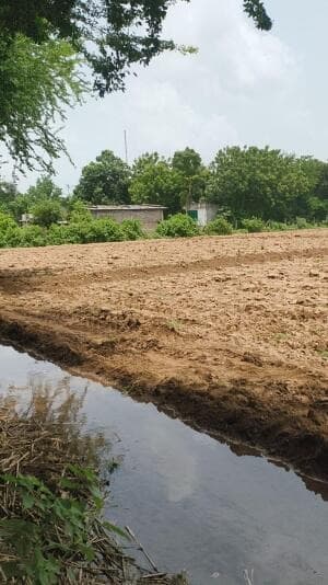 Farmhouse Resale in Anand, Anand - Farm / Agriculture
