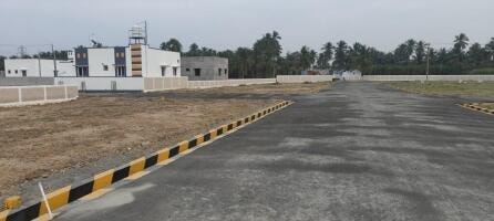 Sumy Avenue - detail view in Erode