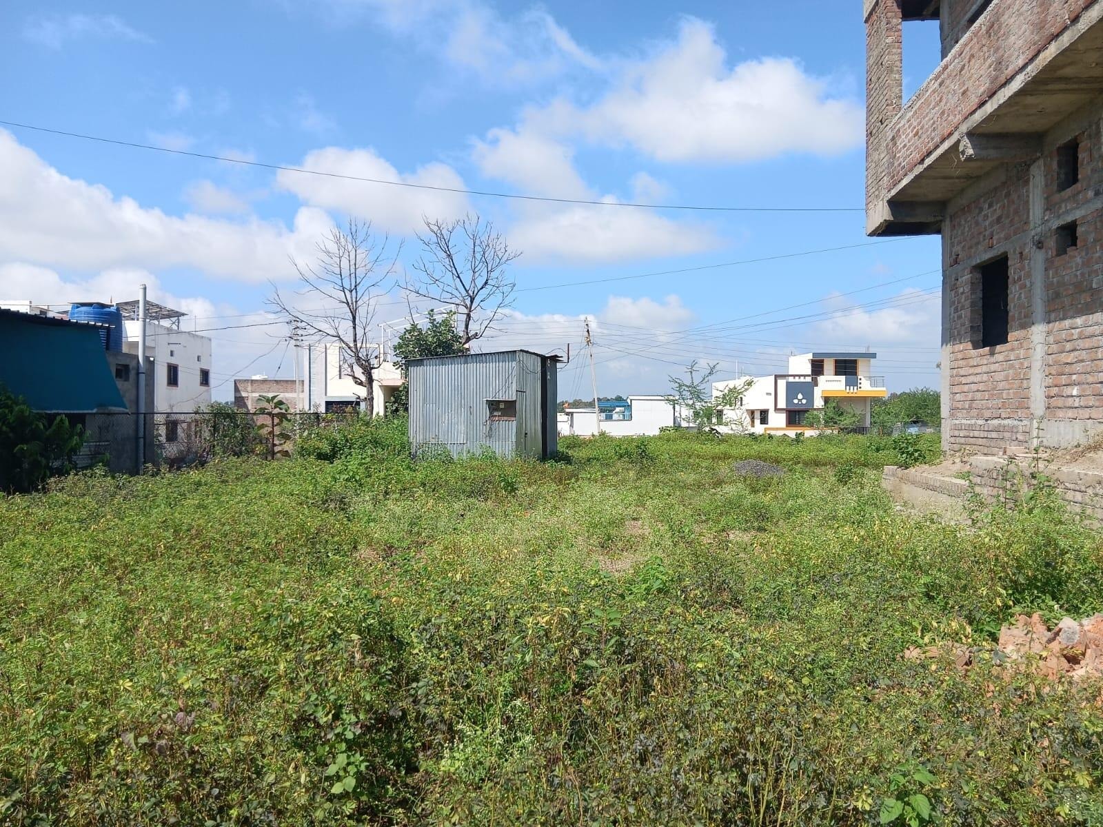 jambrun Road, Buldana - interior view in Buldhana