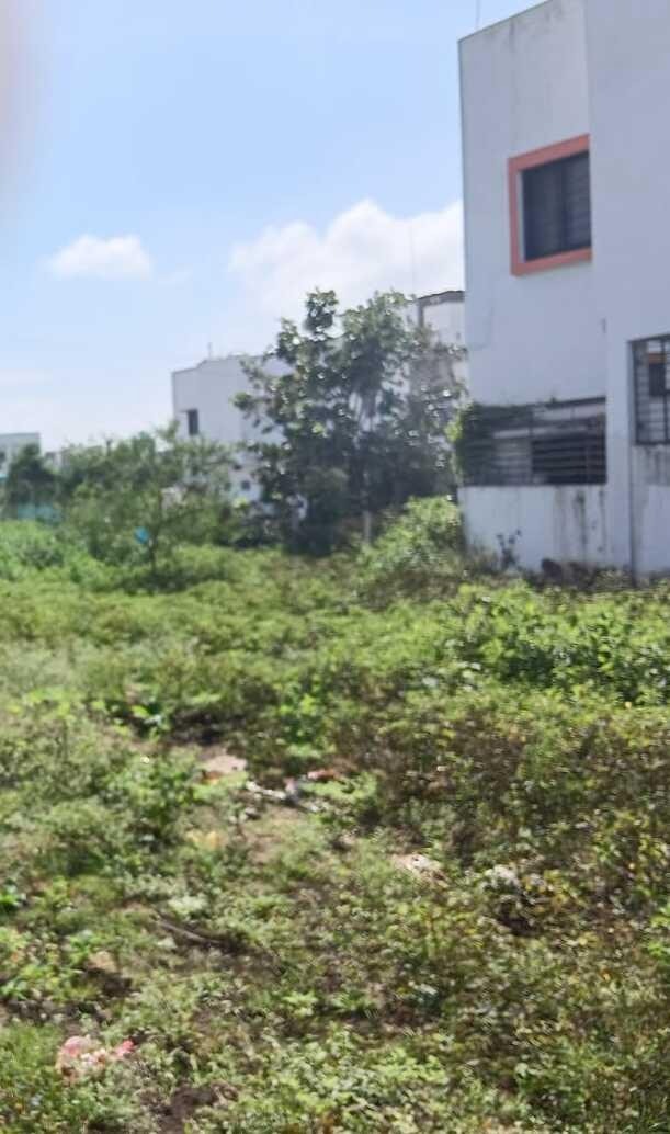 jambrun Road, Buldana - side view in Buldhana