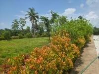 Anugraha Villa Plots - exterior view in Udupi