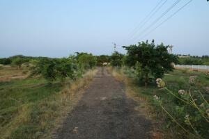 Thangam Nagar - side view in Nagapattinam