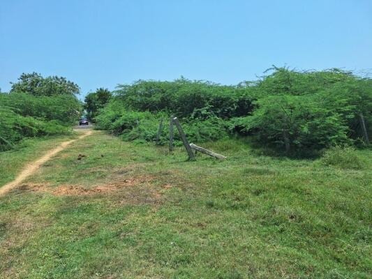 Nilakudi - agriculture-land for buy-resale in Sikkal, Nagapattinam - main view