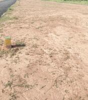 Residential Plot Resale in Alangudi Road, Pudukkottai - Jeyam Nagar Plots