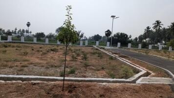 Dhandapani Nagar - agriculture-land for buy-resale in Komarapalayam, Namakkal - main view