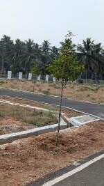 Dhandapani Nagar - interior view in Namakkal