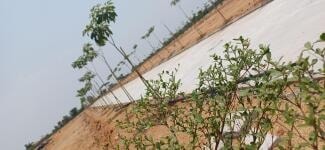 Ithika Shaantham Meadows - interior view in Medak